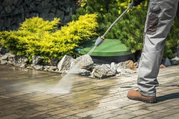 Best Roof Cleaning and Mildew Removal in Erlanger, KY